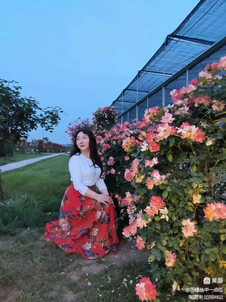 我等到花儿也谢了